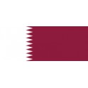 Final Cup del Emir Qatar 18/19 Al Sadd-1 Lekhwiya-4