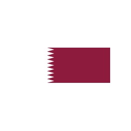 Final Cup del Emir Qatar 18/19 Al Sadd-1 Lekhwiya-4