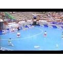 Final Liga Nacional Futbol Sala 01-02 5ºpartido A.E.Boomerang-5 Miro Martorell-3