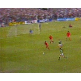 Clasf. Eurocopa 1988 Irlanda-0 Belgica-0