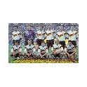 Final Mundial 1990 Alemania-1 Argentina-0