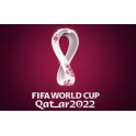 Clasf. Mundial 2022  Argentina-1 Ecuador-0